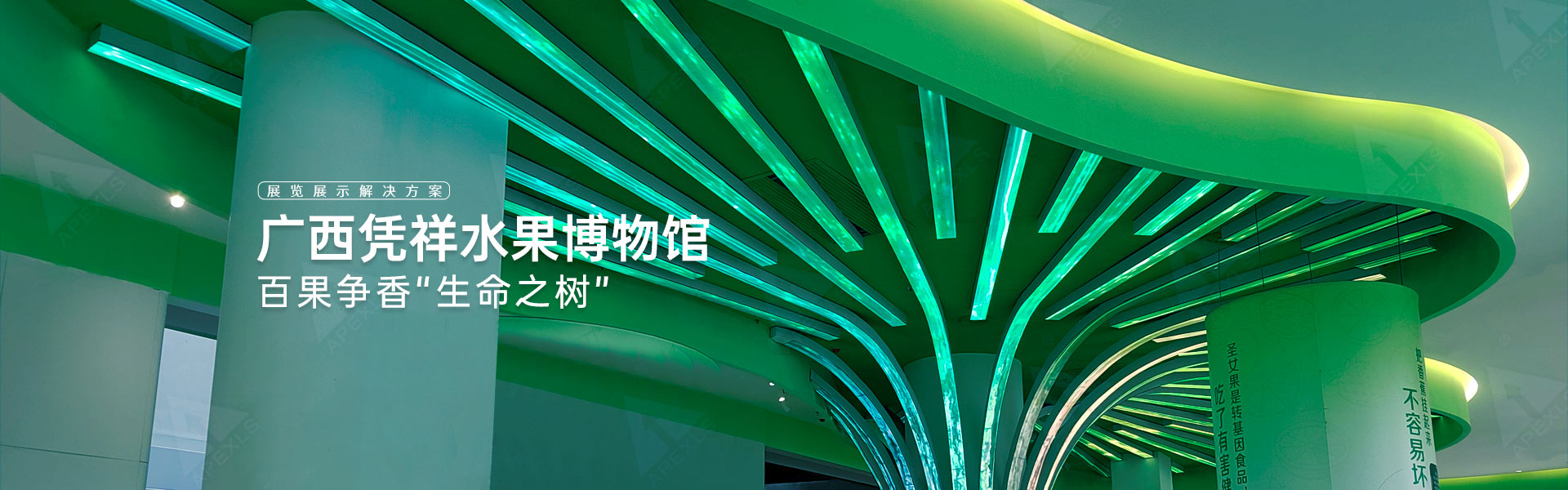 丘成桐國(guó)際會(huì)議中心P4戶內(nèi)生命樹(shù)屏