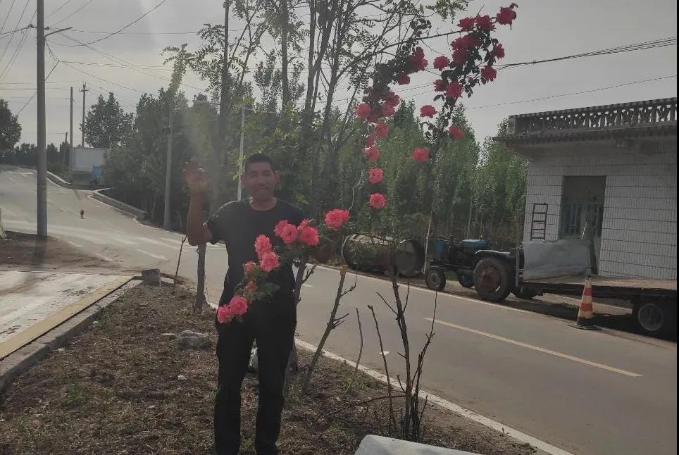 一覽眾山小——中聯收獲花生撿拾收獲機靠什么占領用戶心智高地?