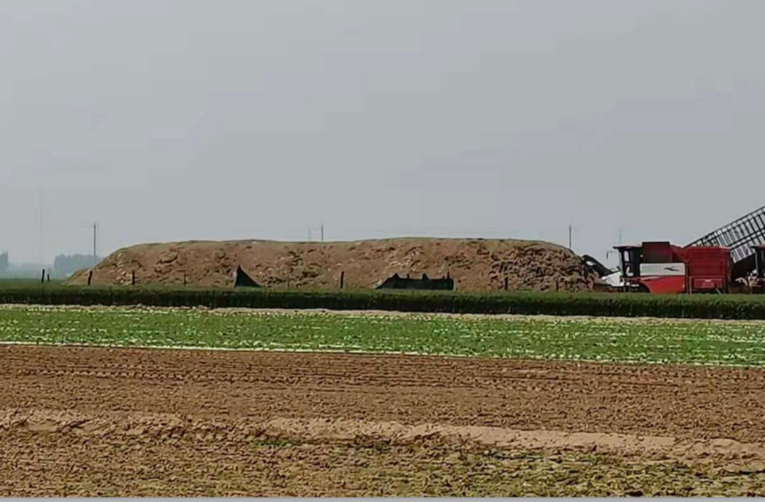 因為信任,甘當鄭州中聯排頭兵