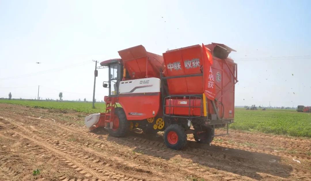 中聯收獲在石家莊花生生產農機推廣田間日活動上大顯神威,用戶直接提兩臺一年作業兩千多畝