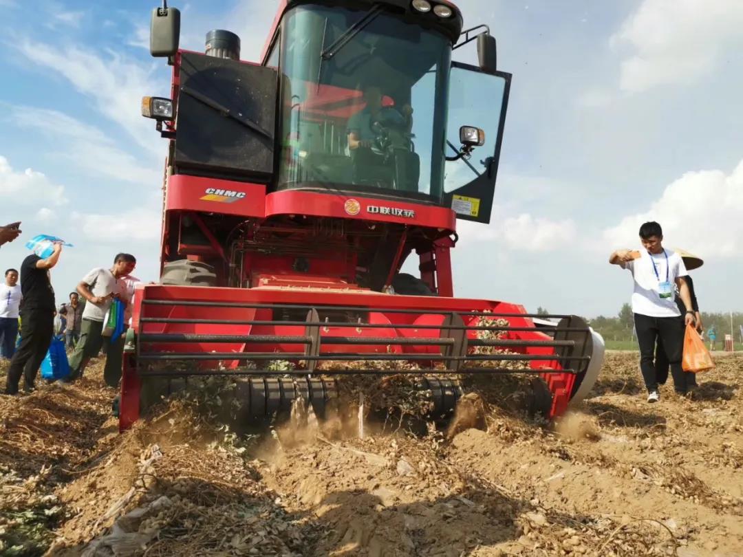 中聯收獲花生機質量有多強?收一千多畝連根皮帶都沒換 1637132253718266.jpg