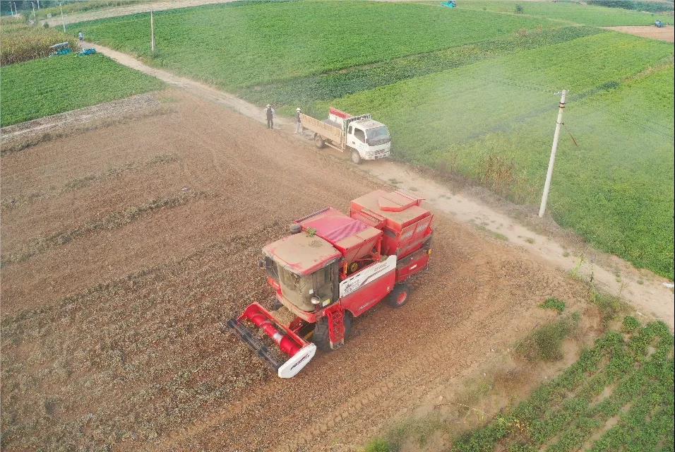 中聯收獲花生機幫我解決了家里的經濟危機 1637232631139980.jpg