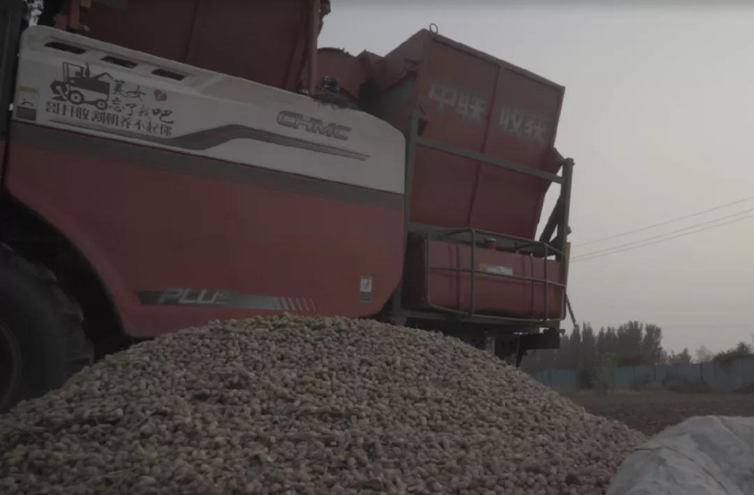 中聯收獲花生機幫我解決了家里的經濟危機 1637232667921070.jpg