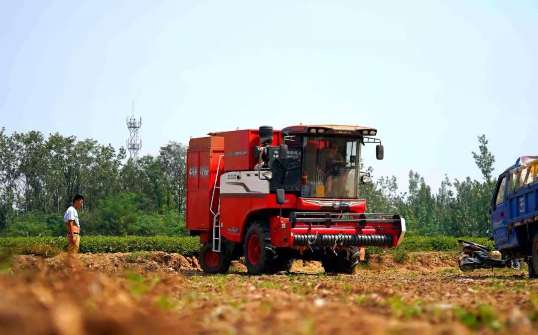 中聯收獲自走式花生撿拾收獲機——花生收獲界的“扛把子” 扛把子2.jpg