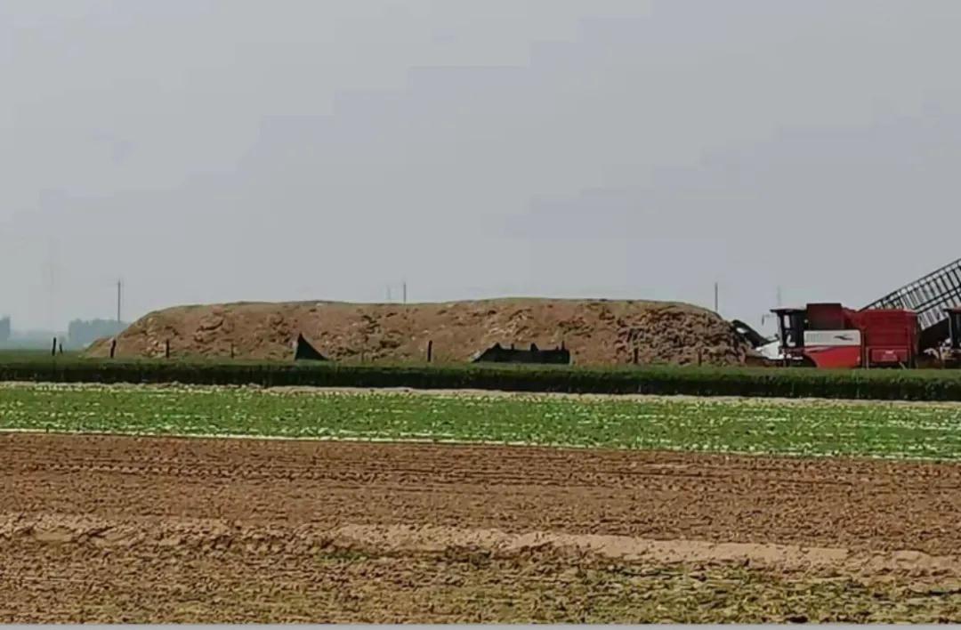 因為信任,甘當鄭州中聯排頭兵 排頭兵3.jpg