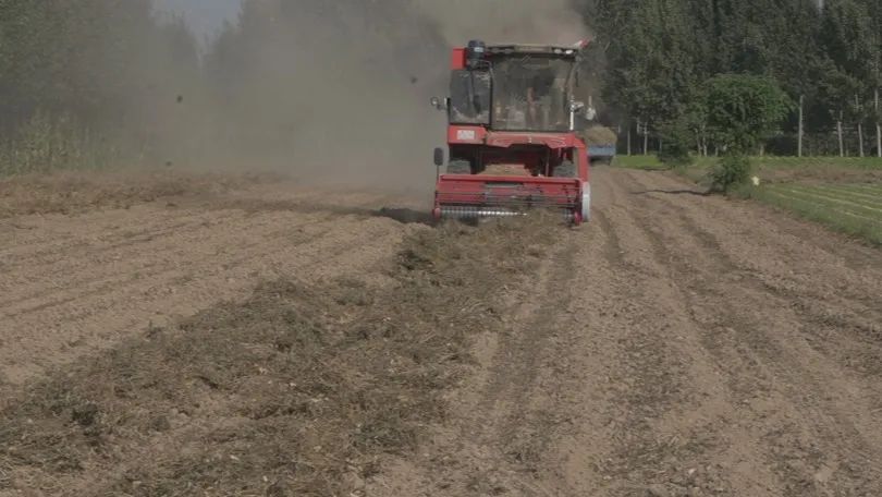 為什么“老機手”焦現偉再次購買中聯收獲花生機 718-5.jpg