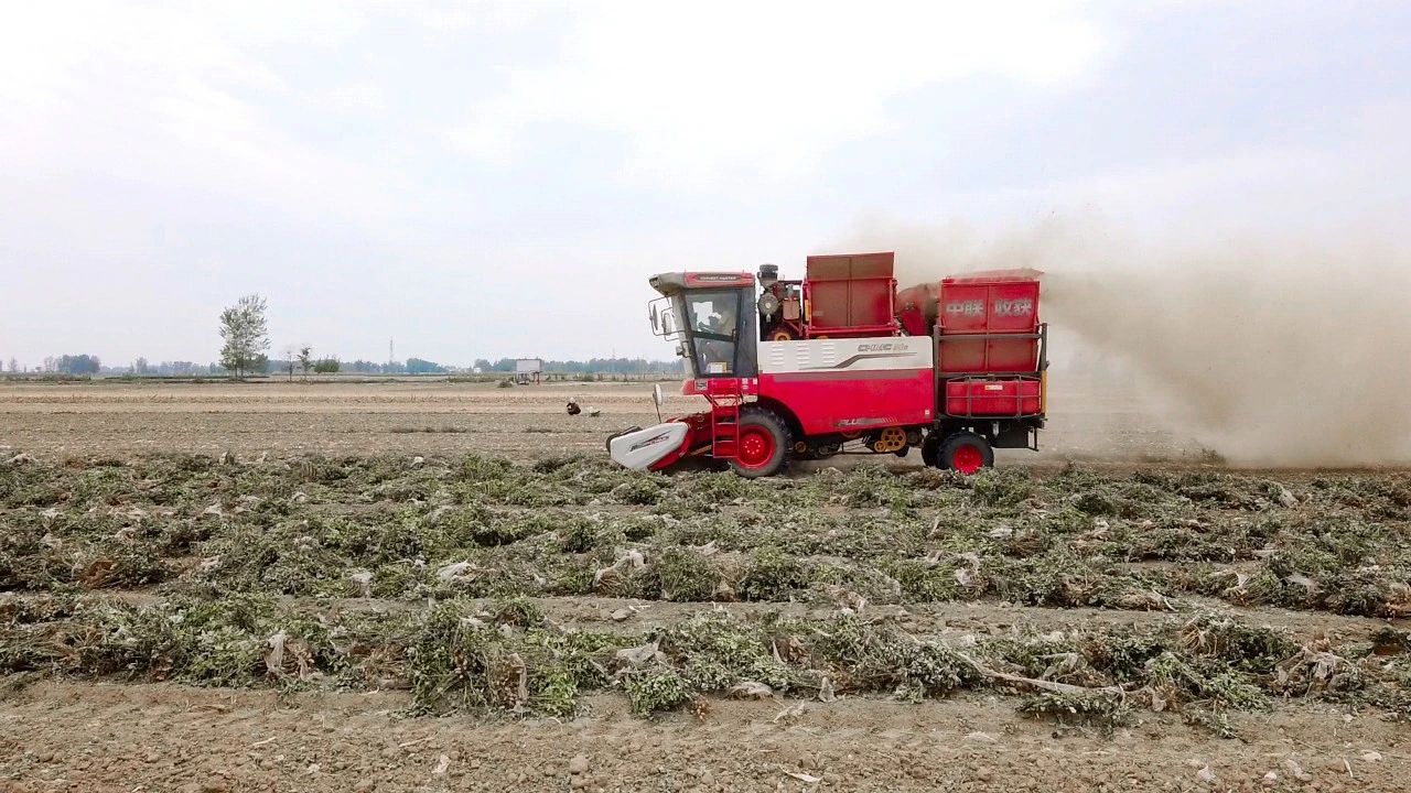 唐山豐南區王峰:故障少,馬力大,每天140畝,中聯收獲H6花生機真不錯 唐山豐南區王峰:故障少,馬力大,每天140畝,中聯收獲H6花生機真不錯(圖2)
