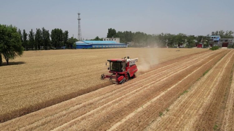 中聯收獲經銷商的堅守:永保服務品質 延續品牌榮耀 中聯收獲經銷商的堅守:永保服務品質 延續品牌榮耀(圖2)