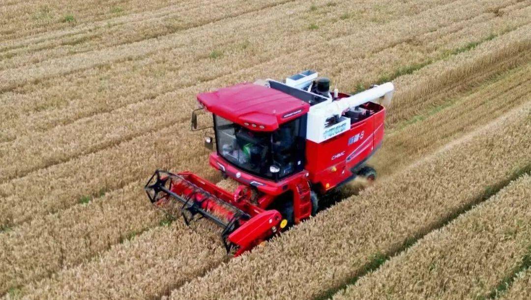 來自保定華師傅的認可:從新疆-7到新疆-9,中聯收獲一直是我中意的品牌 來自保定華師傅的認可:從新疆-7到新疆-9,中聯收獲一直是我中意的品牌(圖1)