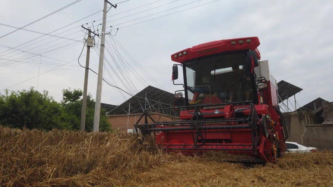 來自保定華師傅的認可:從新疆-7到新疆-9,中聯收獲一直是我中意的品牌 來自保定華師傅的認可:從新疆-7到新疆-9,中聯收獲一直是我中意的品牌(圖3)