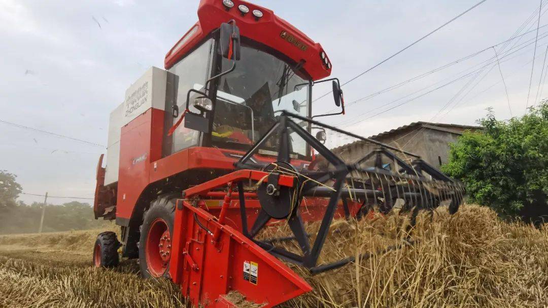 來自保定華師傅的認可:從新疆-7到新疆-9,中聯收獲一直是我中意的品牌 來自保定華師傅的認可:從新疆-7到新疆-9,中聯收獲一直是我中意的品牌(圖2)