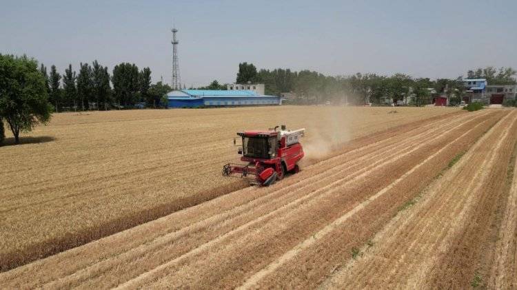 中聯收獲經銷商的堅守:永保服務品質 延續品牌榮耀