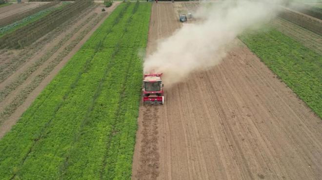 王博:從小麥機到花生機,中聯收獲是我代理的更好
品牌