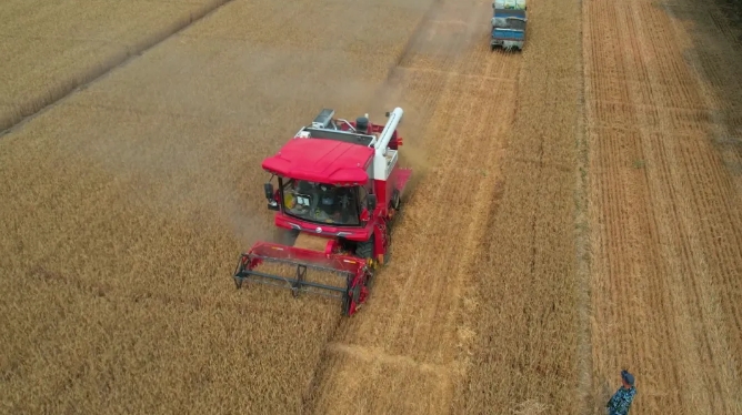 河北衡水劉師傅:質量好、口碑好、大品牌,我只認中聯收獲 1.png