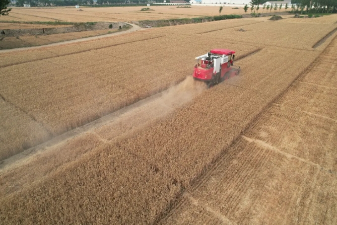 河南商丘姜師傅:中聯收獲就是好,收獲起來沒煩惱 1712064310656977.png