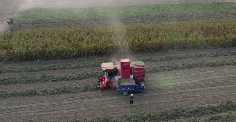 打工受限 開中聯收獲花生機無限可能 1712580632954093.png