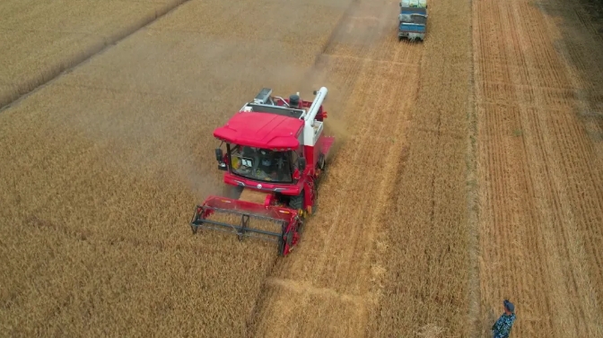 小麥機的操作技術要求涉及多個方面 1715439307293180.png