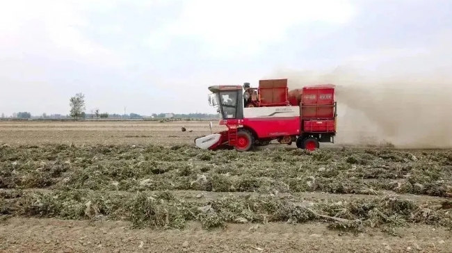 中聯收獲助力楊進亮在滑縣白道口鎮實現高效農業 1.png