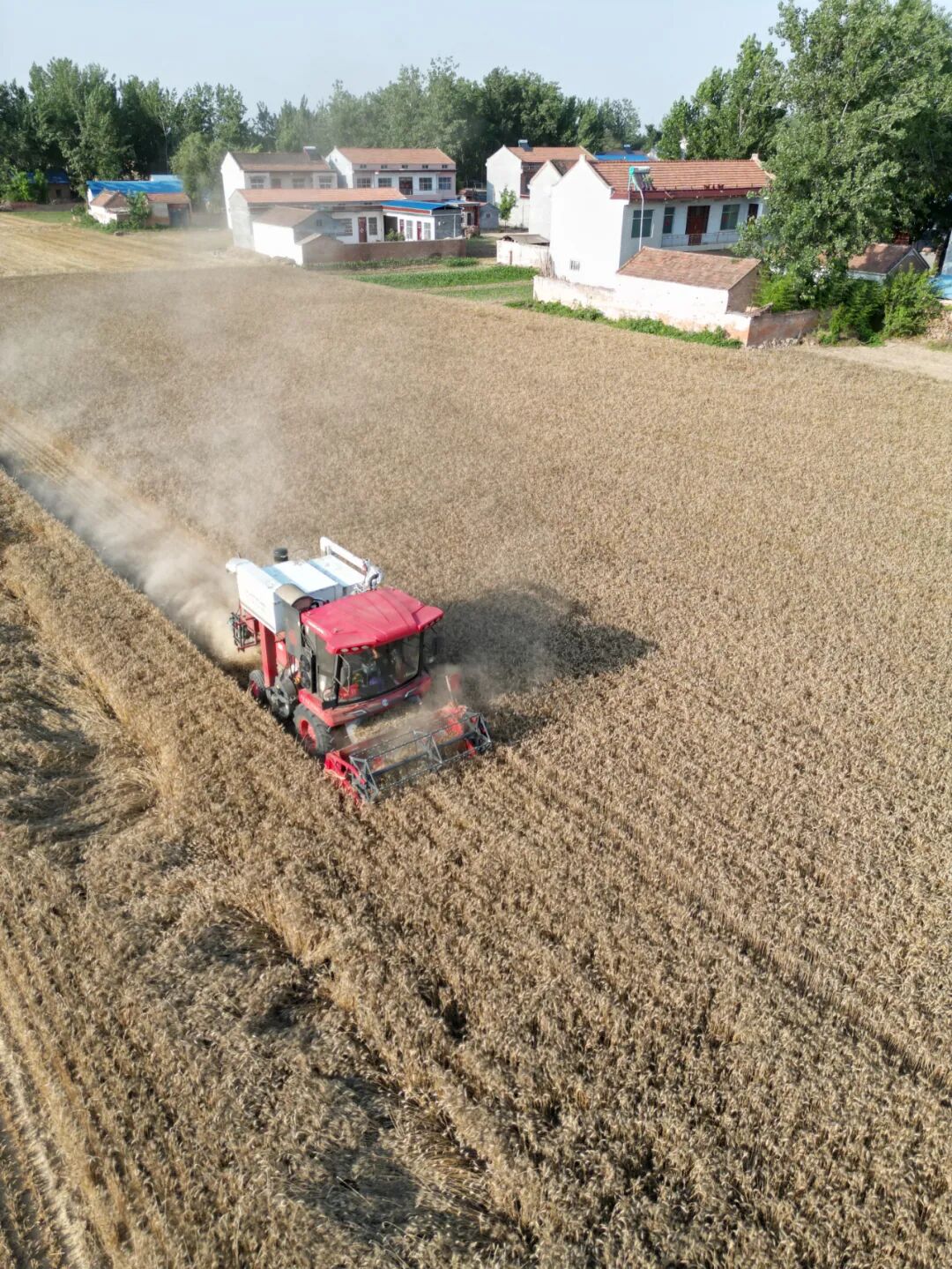30年只做一件事:為什么越來越多農機手認準「中聯收獲」?(圖6)