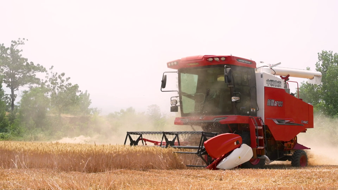 中聯收獲新疆AF100聯合收割機產品技術亮點